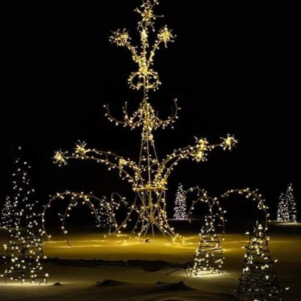 Meet your Posher, Tamara